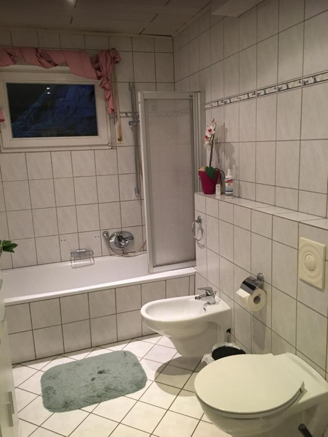 Ferienwohnung Nett Adenau Eksteriør billede